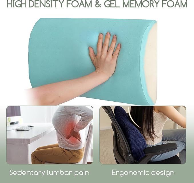 HIGOGOGO Lumbar Support Pillow for Recliner Chair/Accent Chair/Couch, Large Memory Foam Back Support Cushion for Elderly, Recliner Cushions for Back Rest, Pain Relief, Reading, Washable Cover, Navy