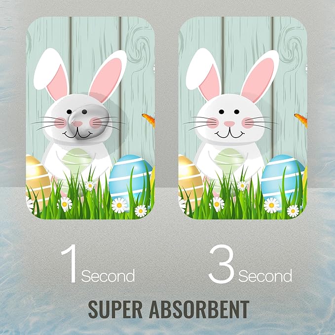 Quick Dry Bath Mat for Bathroom,Super Absorbent Spring Easter Bath Rug Non-Slip Rubber Backing,Machine Washable Bathroom Floor Mat for Shower, Tub, Sink Area Eggs Bunny Cute Rabbits 16x24