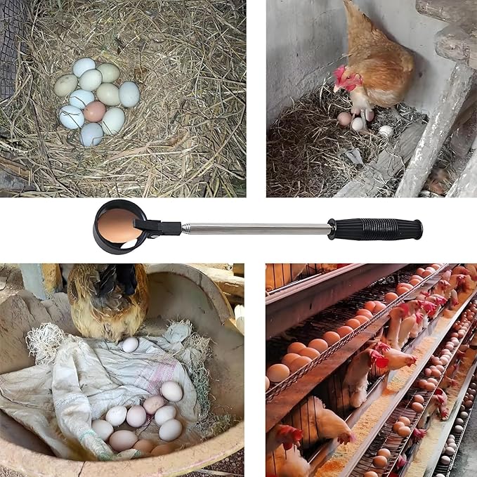 Egg Grabber Reacher Tool for Chicken Eggs Collector, Extender Reacher Grabber Pickup Tool for Chicken Coop, Farm, Poultry Nest, Chicken Coop Accessories Homesteading Essentials