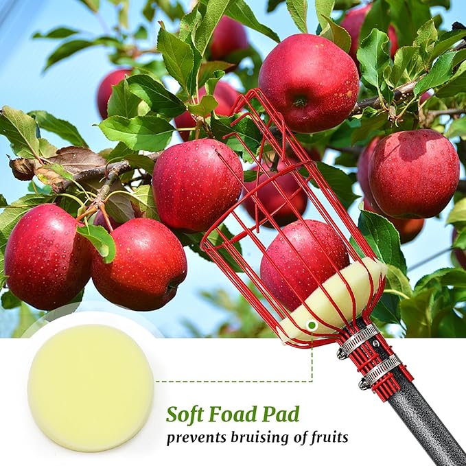 13FT Fruit Picker, Long Reach Fruit Picker Tool with Basket & Adjustable Stainless Steel Handle, Fruit Grabber for Apple Mango Avocado Orange Lemon, Easy Assembly & No Ladder Needed for Tall Tree
