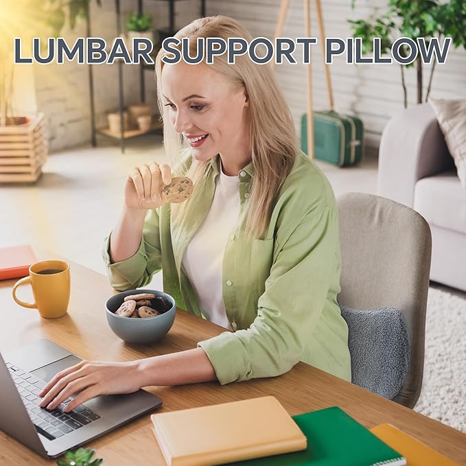 ROYALAY Sherpa Lumbar Support Pillow for Recliner, Memory Foam Back Pillow for Chair, Warm Couch Back Cushions for Elderly with Machine Washable Cover, Lumbar Pad for Car Office Chair, Grey