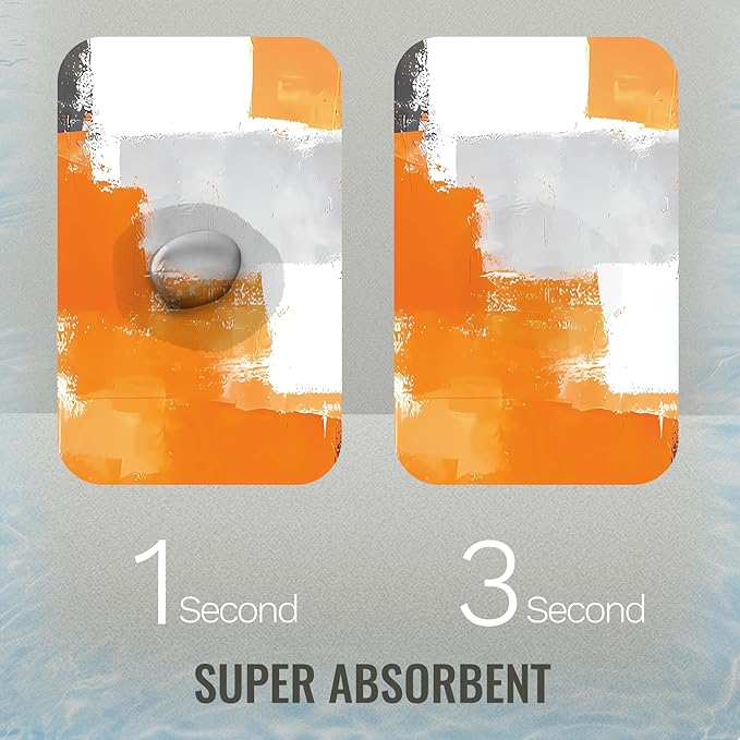 Quick Dry Bath Mat for Bathroom,Super Absorbent Orange and Gray Welcome Bath Rug Non-Slip Rubber,Machine Washable Bathroom Floor Mat for Shower, Tub, Sink Area Abstract Art Painting 16x24