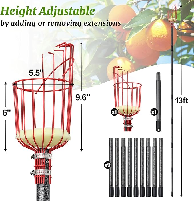 13FT Fruit Picker, Long Reach Fruit Picker Tool with Basket & Adjustable Stainless Steel Handle, Fruit Grabber for Apple Mango Avocado Orange Lemon, Easy Assembly & No Ladder Needed for Tall Tree