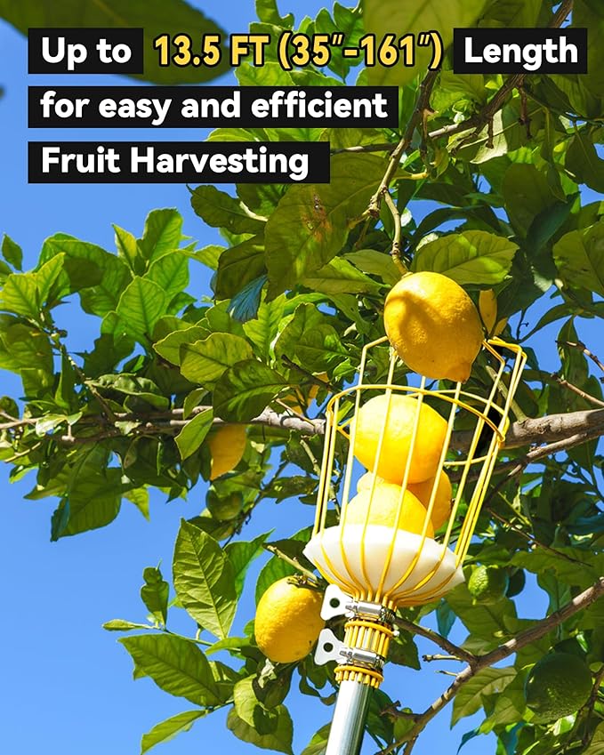 13.5FT Fruit Picker with Basket, Apple Picking Tool 35–161" Adjustable Pole, Long-Handle Mango Grabber, Tree Fruit Catcher for Harvesting Lemon Pear Orange Avocado Peach Citrus Grapefruit