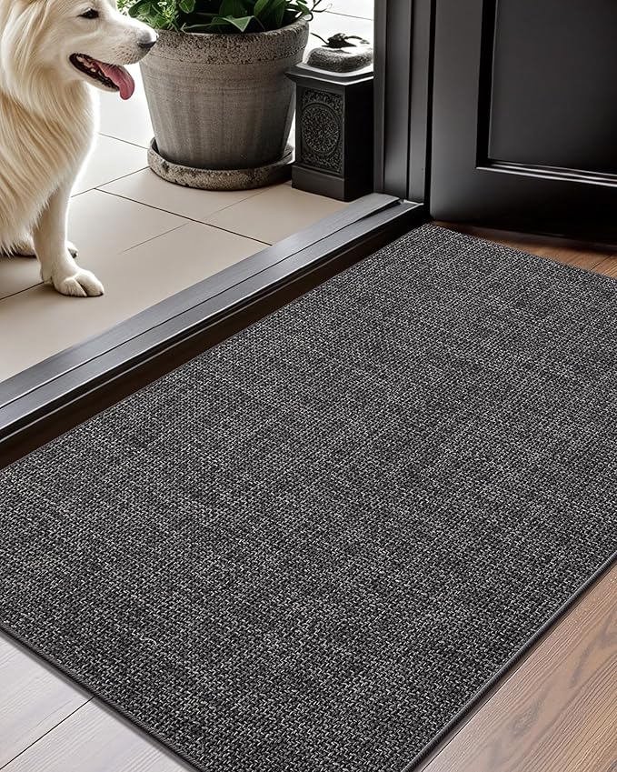 Color&Geometry Thin Door Mat Indoor Entrance Non Slip Rubber Backed, 17''x30'' Indoor Door Mats for Entryway, Dirt Trapper Doormat Washable Front Door Rugs, Charcoal Grey