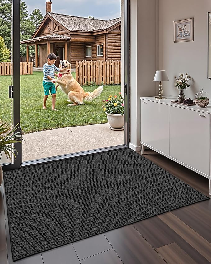 Color&Geometry Large Thin Front Door Mat Indoor Entrance Non Slip Rubber Backed, 32"x48" Indoor Door Mats for Entryway, Dirt Trapper Double Doormat, Washable Front Door Rugs, Ebony Black