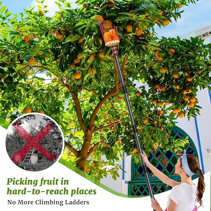 13FT Fruit Picker, Long Reach Fruit Picker Tool with Basket & Adjustable Stainless Steel Handle, Fruit Grabber for Apple Mango Avocado Orange Lemon, Easy Assembly & No Ladder Needed for Tall Tree