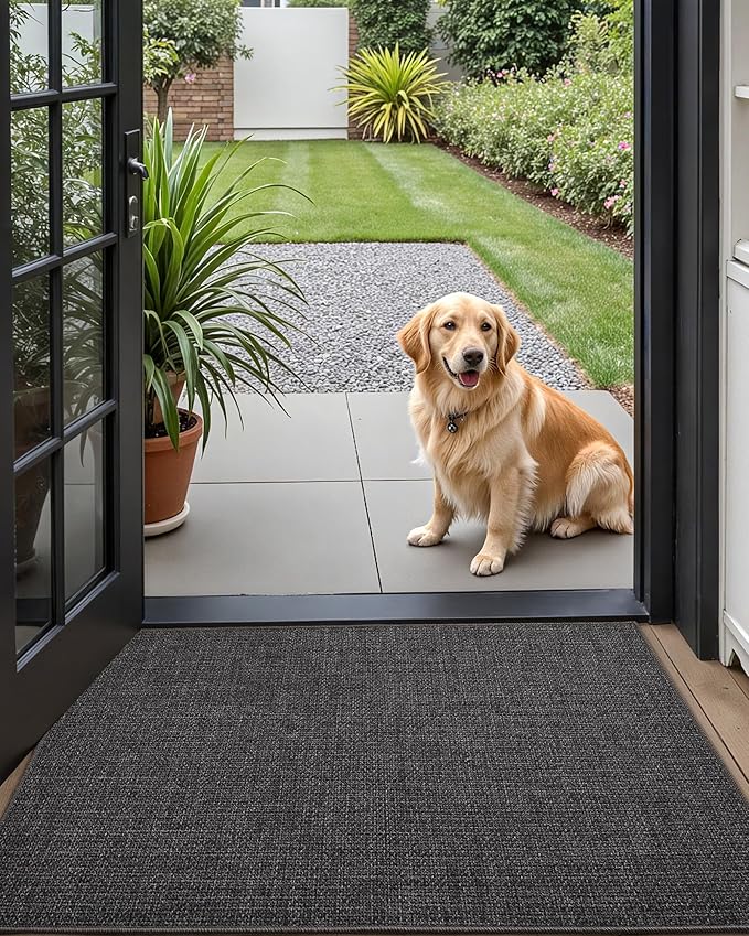 Color&Geometry Thin Door Mat Indoor Entrance Non Slip Rubber Backed, 17''x30'' Indoor Door Mats for Entryway, Dirt Trapper Doormat Washable Front Door Rugs, Charcoal Grey