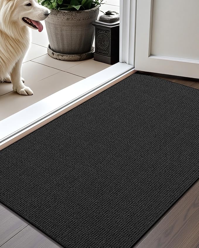 Color&Geometry Thin Door Mat Indoor Entrance Non Slip Rubber Backed, 17''x30'' Indoor Door Mats for Entryway, Dirt Trapper Doormat Washable Front Door Rugs, Ebony Black