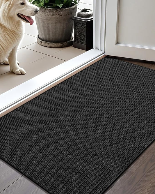 Color&Geometry Thin Door Mat Indoor Entrance Non Slip Rubber Backed, 17''x30'' Indoor Door Mats for Entryway, Dirt Trapper Doormat Washable Front Door Rugs, Ebony Black